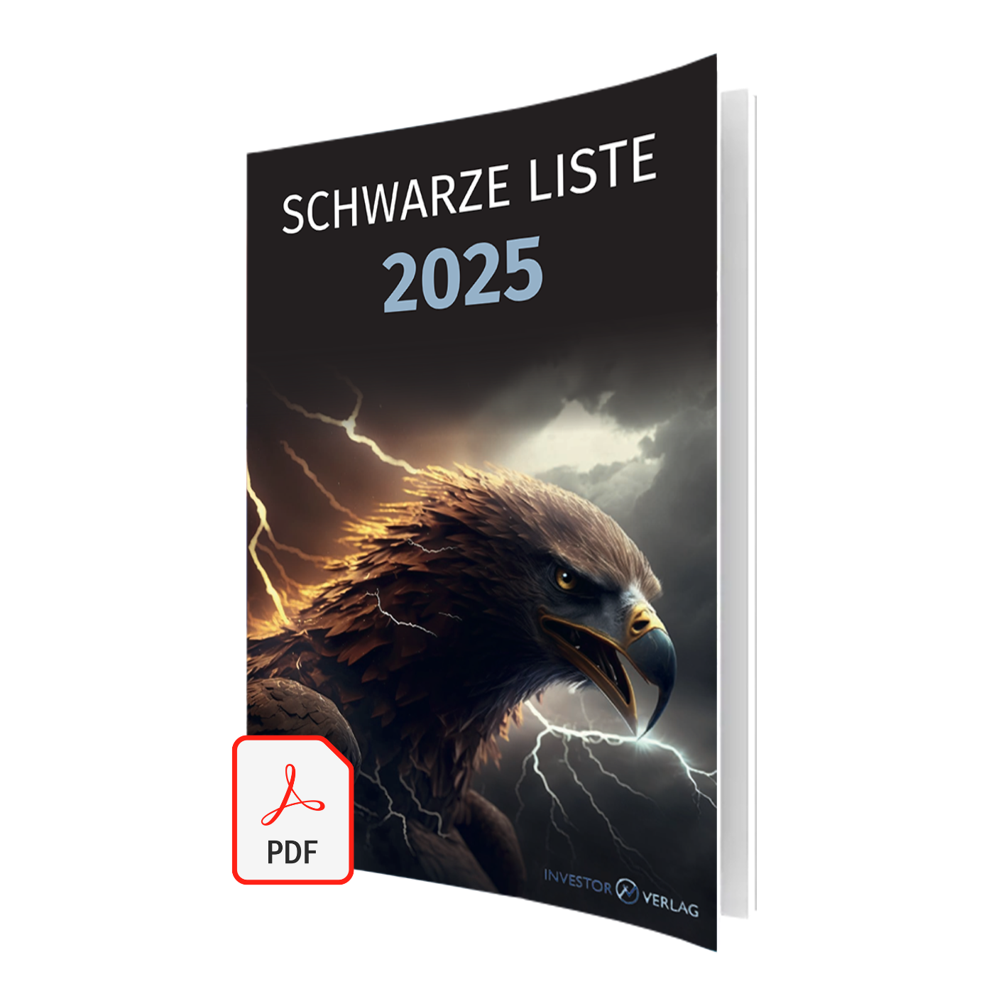 Cover des PDF-Reports: Schwarze Liste 2025